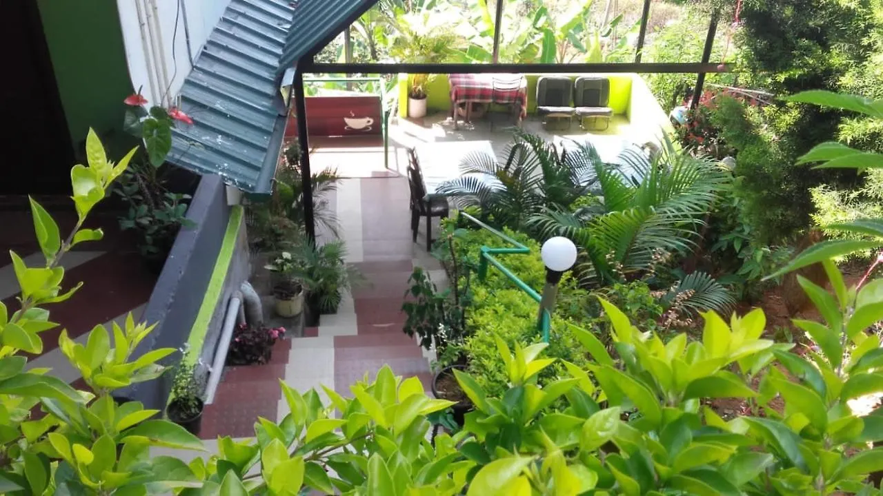Lodge Munnar Nature Dale Villa India